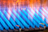 Fremington gas fired boilers